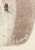 IMG_1240.jpeg